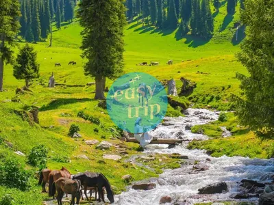 XINJIANG - THE MYSTERIOUS LAND