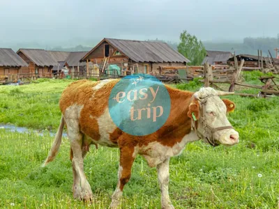 XINJIANG - THE MYSTERIOUS LAND