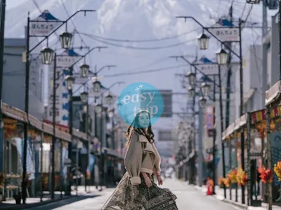 THE UNIQUE JAPAN