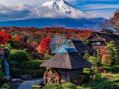 THE UNIQUE JAPAN