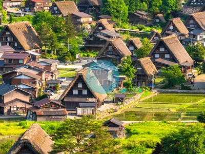 THE UNIQUE JAPAN