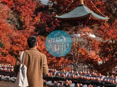 NHẬT BẢN CUNG ĐƯỜNG VÀNG - MÙA THU 2026