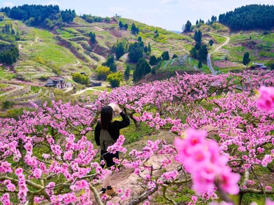 THANH ĐẢO - TẾ NAM: LAM HẢI TUYỀN THÀNH