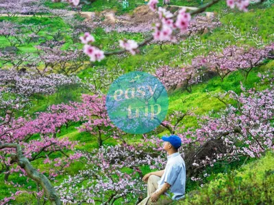 SICHUAN SPRING SPIRIT