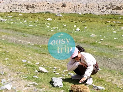 LADAKH - INTO THE MAJESTIC LAND 