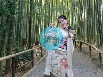 NHẬT BẢN CUNG ĐƯỜNG VÀNG - MÙA HÈ 2026