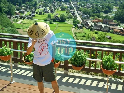 NHẬT BẢN CUNG ĐƯỜNG VÀNG - MÙA HÈ 2026