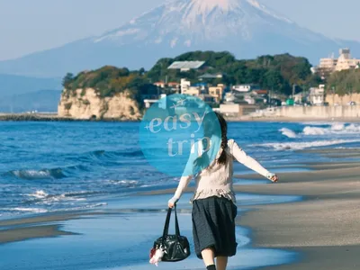 NHẬT BẢN CUNG ĐƯỜNG VÀNG - MÙA HÈ 2026