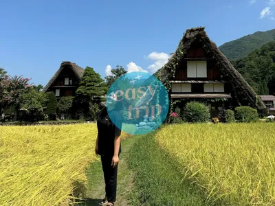 NHẬT BẢN CUNG ĐƯỜNG VÀNG - MÙA HÈ 2026