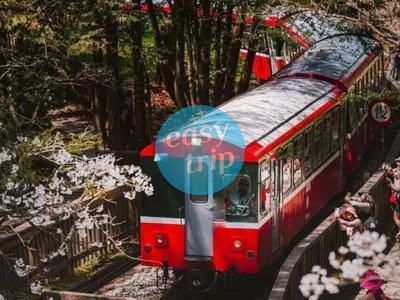 TAIWAN - THE GENTLE LAND (SPRING EDITION)