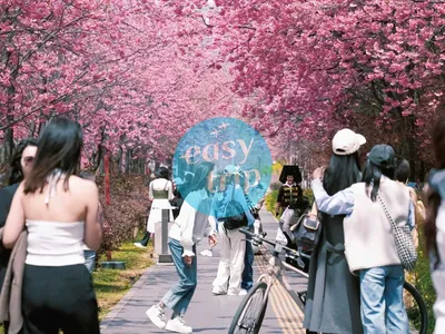 YUNNAN: THE VIVID SPRING