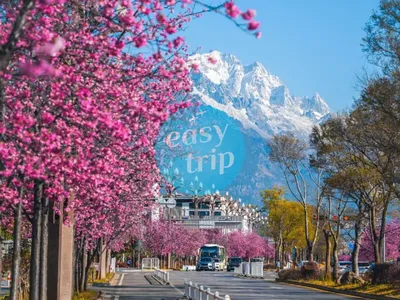 YUNNAN: THE VIVID SPRING