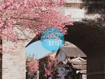 YUNNAN: THE VIVID SPRING