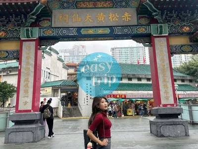 THE VINTAGE HONG KONG