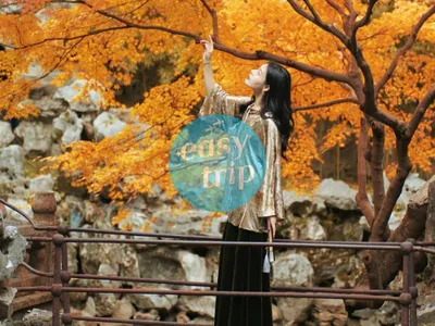 JIANGNAN LOVE POETRY