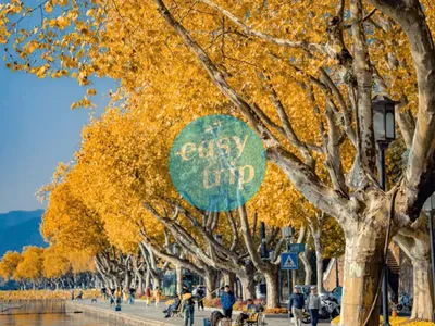 JIANGNAN LOVE POETRY