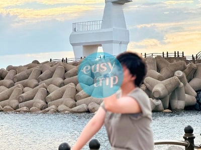 JEJU - MÙA HÈ CHỮA LÀNH