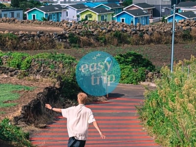 JEJU - MÙA HÈ CHỮA LÀNH