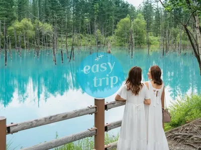 HOKKAIDO - PHƯƠNG BẮC RỰC RỠ