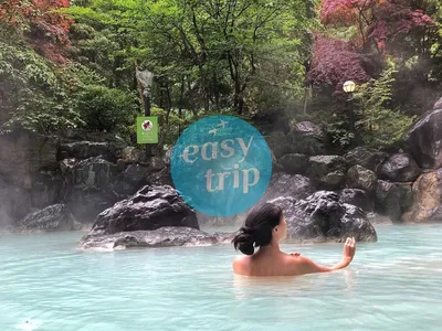 HOKKAIDO - PHƯƠNG BẮC RỰC RỠ