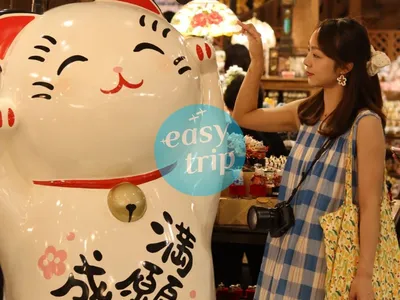 HOKKAIDO - PHƯƠNG BẮC RỰC RỠ