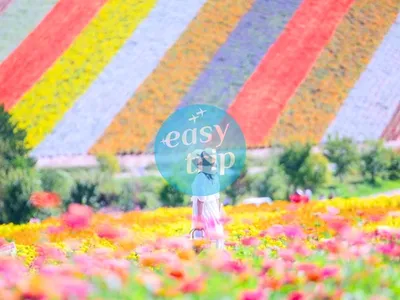 HOKKAIDO - PHƯƠNG BẮC RỰC RỠ