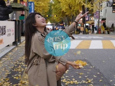 HÀN QUỐC - MÙA LÁ VÀNG 2026