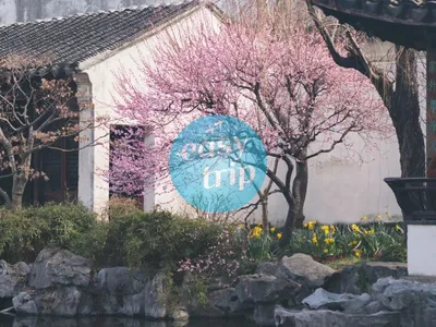 JIANGNAN SPRINGTIDE 