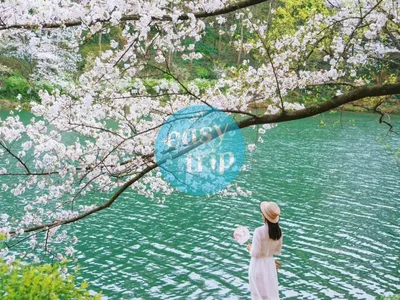 JIANGNAN SPRINGTIDE 