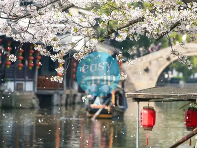 JIANGNAN SPRINGTIDE 