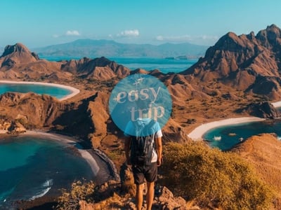 KOMODO DRAGON'S ISLAND