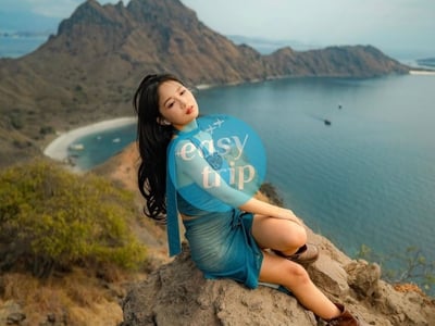 KOMODO DRAGON'S ISLAND