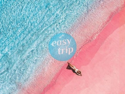 KOMODO DRAGON'S ISLAND