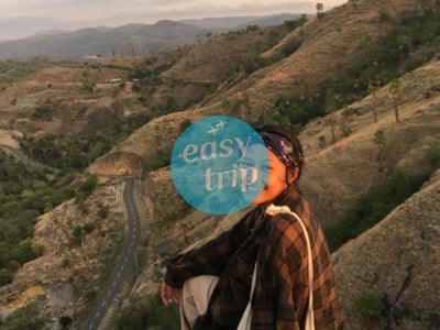 KOMODO DRAGON'S ISLAND