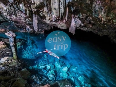 KOMODO DRAGON'S ISLAND