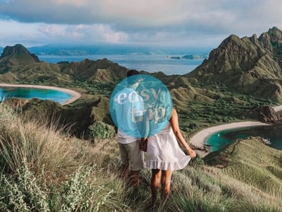 KOMODO DRAGON'S ISLAND