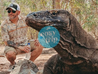 KOMODO DRAGON'S ISLAND