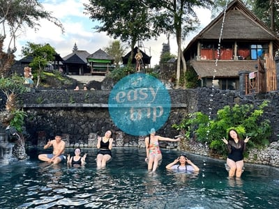 KOMODO DRAGON'S ISLAND