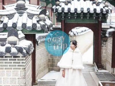 SPARKLING WINTER IN KOREA