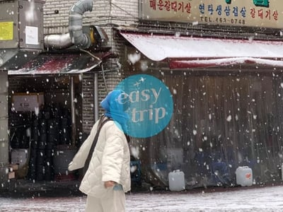 SPARKLING WINTER IN KOREA
