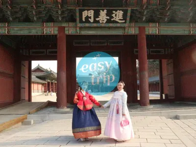 KOREA CHERRY BLOSSOM