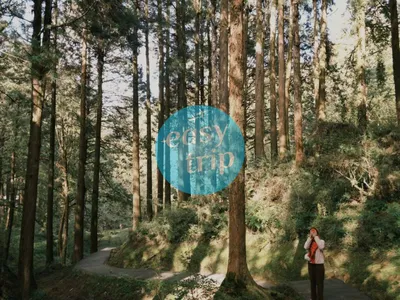 TAIWAN IN AUTUMN 2.0