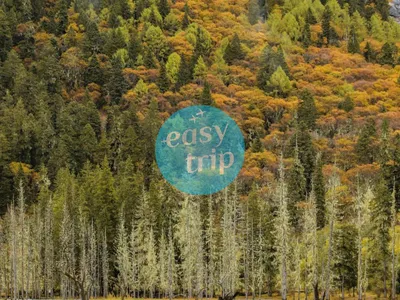 ĐẠO THÀNH Á ĐINH - TUYỆT TÁC MIỀN SƠN CẢNH