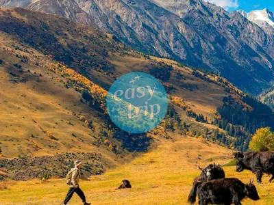 ĐẠO THÀNH Á ĐINH - TUYỆT TÁC MIỀN SƠN CẢNH