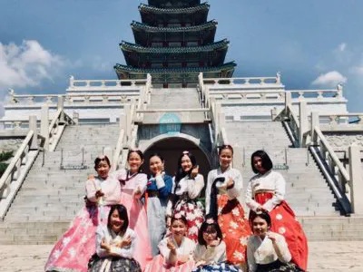 KOREA CHERRY BLOSSOM
