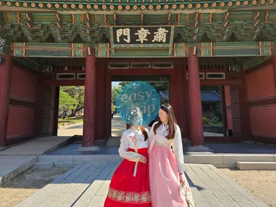 KOREA CHERRY BLOSSOM