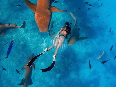 MALDIVES 'SEA-CRET' ISLAND