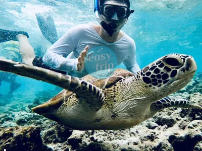MALDIVES 'SEA-CRET' ISLAND
