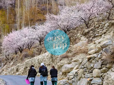 BLOOMING PAKISTAN