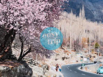 BLOOMING PAKISTAN